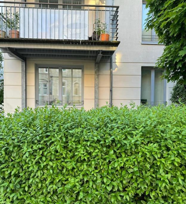 Gemuetliches Apartment Im Herzen Detmolds Exterior foto